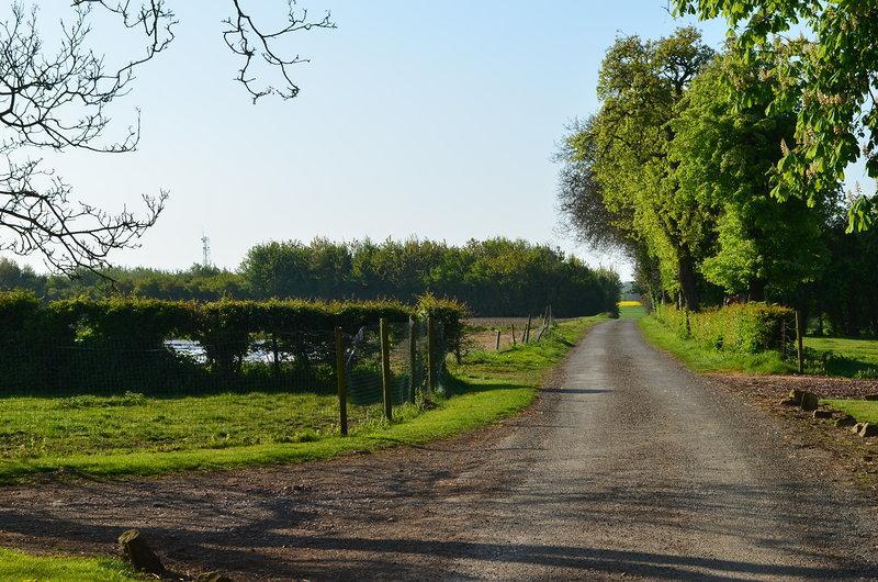 לינה וארוחת בוקר Saint-Pol-sur-Ternoise La Ferme Du Bois Quesnoy מראה חיצוני תמונה